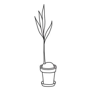 Vector stock illustration with single object: , home plant, hand drawn, doo.. Stock Illustration