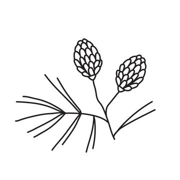 Vector stock illustration with single object: plant, hand drawn, doodle style Stock Illustration