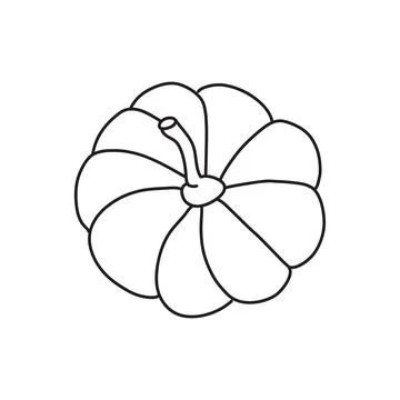 Vector stock illustration with single object: food, hand drawn, doodle style. Stock Illustration