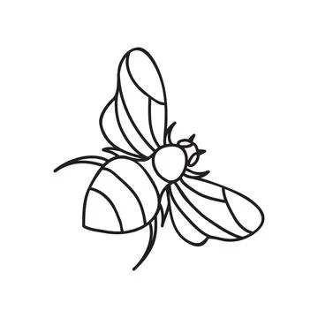 Vector stock illustration with single object: insects, hand drawn, doodle s.. Stock Illustration