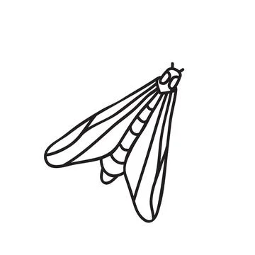 Vector stock illustration with single object: insects, hand drawn, doodle s.. Illustrazione stock