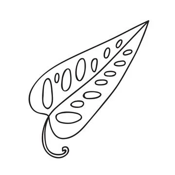 Vector stock illustration with single object: plant, hand drawn, doodle style Stock Illustration