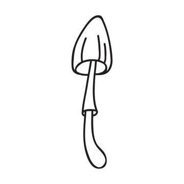 Vector stock illustration with single object: plant, hand drawn, doodle style Stock Illustration