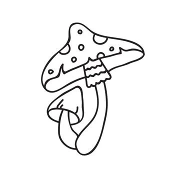 Vector stock illustration with single object: plant, hand drawn, doodle style Illustrazione stock