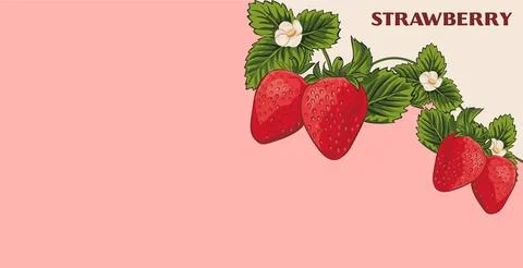 Vector strawberry background Stock Illustration