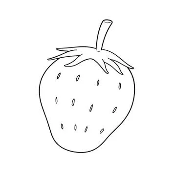 Vector of strawberry Stock Illustration