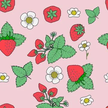 Vector strawberry seamless pattern. Background design Stock Illustration