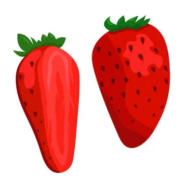 Vector strawberry on white background. Flat illustration. Stock Illustration