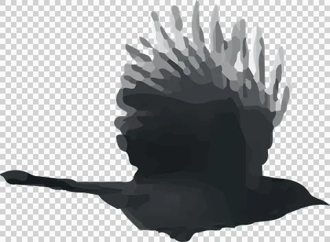 Vector-style crow is flying in layered gray shapes with transparent background, Stock Illustration