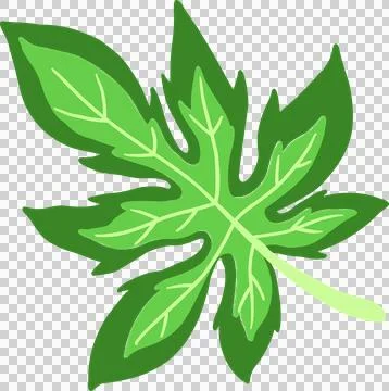 Vector-style design is featuring green multi-lobed leaf with bright veins, Illustrazione stock