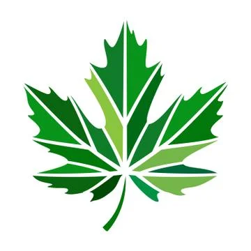 Vector stylize logo with green maple leaf Stock Illustration