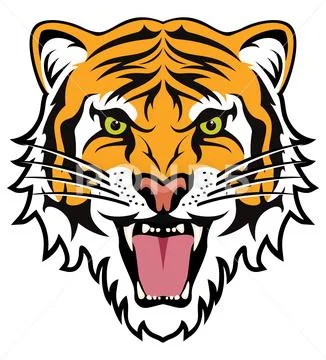 Vector stylized face of angry tiger Stock Illustration