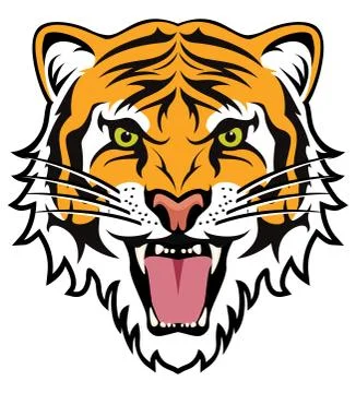 Vector stylized face of angry tiger Stock Illustration