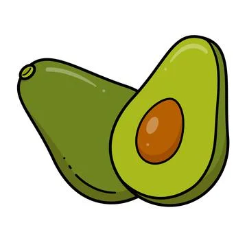 Vector stylized fresh avocado fruit isolated on a white background. Stock Illustration