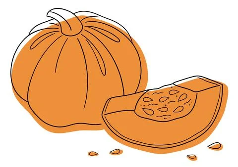 Vector stylized pumpkin slice with seeds. Pumpkin seeds line. Halloween Stock Illustration