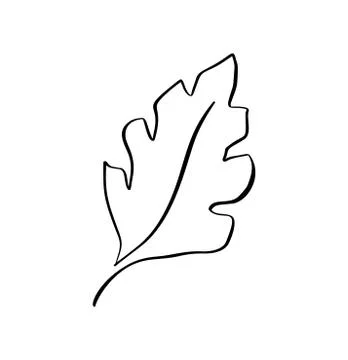 Vector stylized silhouette of spring tree leaf isolated on white background.  Illustrazione stock