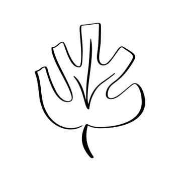 Vector stylized silhouette of spring tree leaf isolated on white background.  Stock Illustration