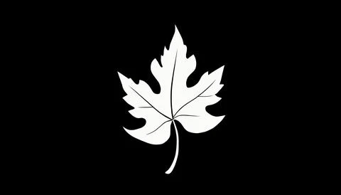Vector stylized white grape leaf on black background Stock Illustration