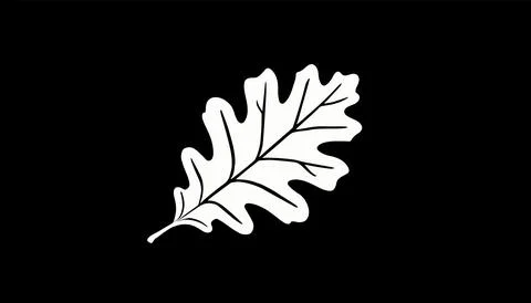 Vector stylized white oak leaf on a black background Illustrazione stock