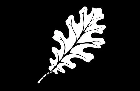 The vector stylized white oak leaf on a black background Illustrazione stock