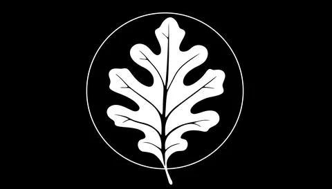 Vector stylized white oak leaf on a black background Illustrazione stock