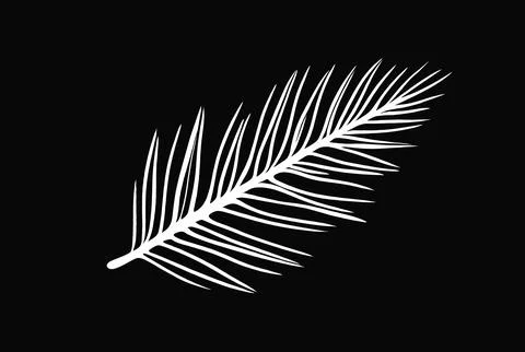 Vector stylized white pine leaf on a black background Stock Illustration