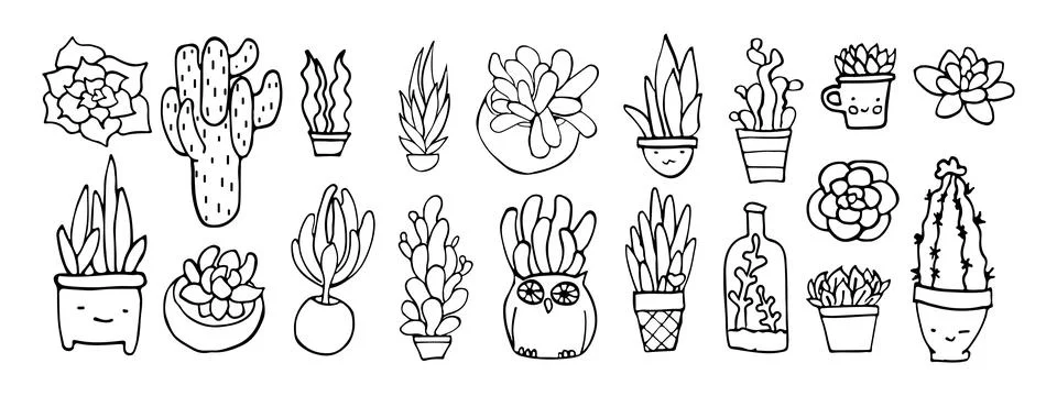 Vector succulent doodle set, isolated collection on white background, outline Stock Illustration