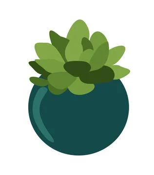 Vector succulent plant Stock Illustration