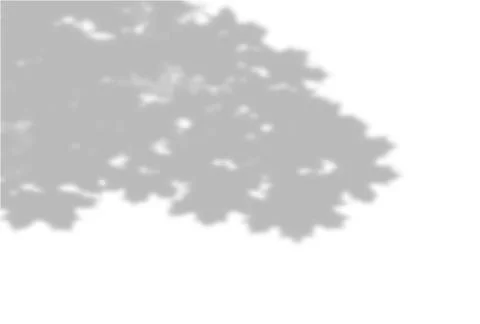 Vector Summer background of plant shadows. Shadow of tree leaves on a white wall Stock Illustration