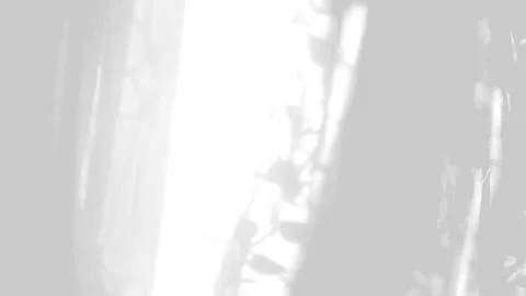 Vector summer background of shadows from the window curtains . The shadow of the Illustrazione stock