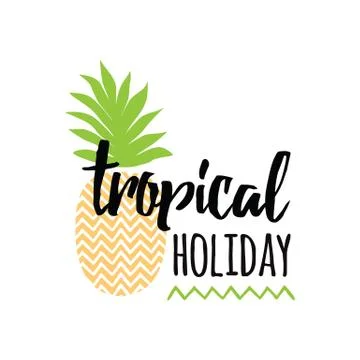 Vector summer banner with hand drawn pineapple, lettering design element 'Tro Stock Illustration