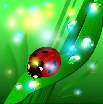 Vector summer illustration with the glare of the sun, ladybug, grass and shine Stock Illustration