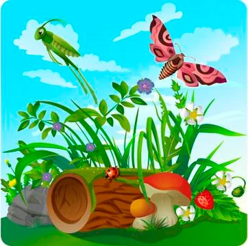 Vector summer illustration  insect Illustrazione stock