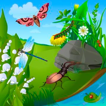 Vector summer illustration  insect  Stock Illustration