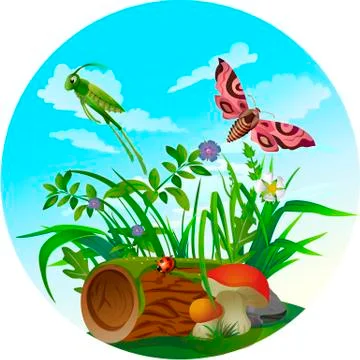 Vector summer illustration  insect  Stock Illustration