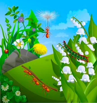 Vector summer illustration  insect  Illustrazione stock