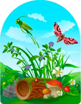 Vector summer illustration  insect  Stock Illustration