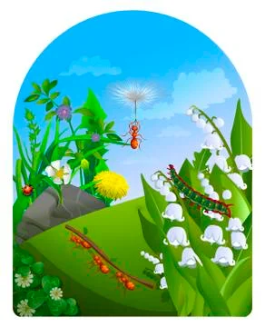 Vector summer illustration  insect  Stock Illustration