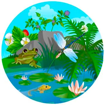 Vector summer illustration  insect  Stock Illustration