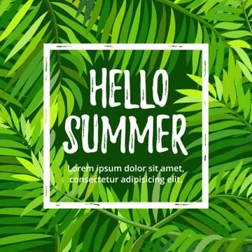 Vector summer party poster with palm leaf Stock-Illustration