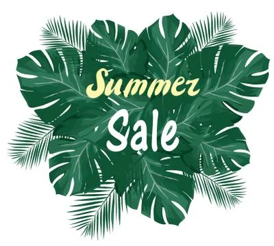 Vector Summer Sale Stock Illustration