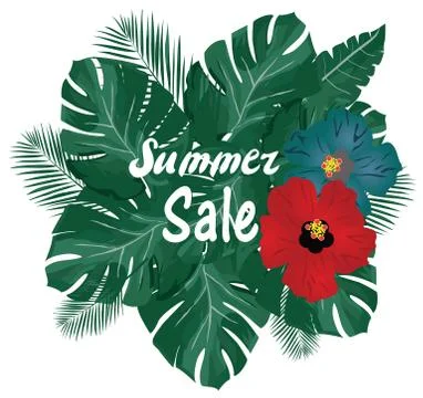 Vector Summer Sale Stock Illustration