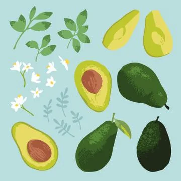 Vector summer set with avocado, leaves and flowers isolated on white Stock Illustration