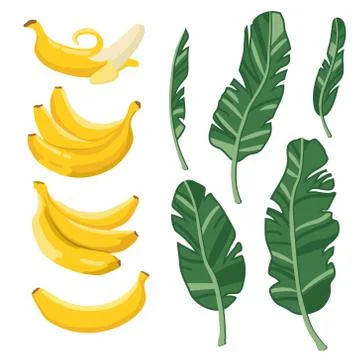 Vector summer set with bananas and palm leaves isolated on white background Illustrazione stock