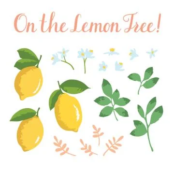 Vector summer set with lemons and flowers isolated on pink background Stock Illustration