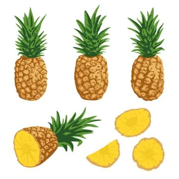 Vector summer set with pineapples isolated on white background Stock Illustration