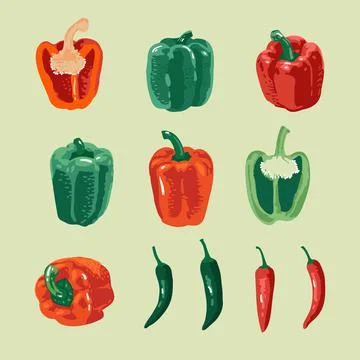 Vector summer set of sweet and hot peppers isolated on green background Stock Illustration