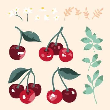 Vector summer set with sweet cherries, leaves and flowers isolated on white Stock Illustration