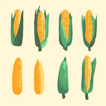Vector summer set of sweet corns and leaves isolated on background Stock Illustration