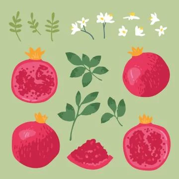 Vector summer set with sweet pomegranates, leaves and flowers Stock Illustration